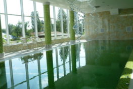 6.  "Vit"-отель, бассейн.